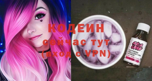 тгк Няндома