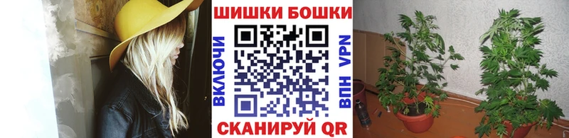 Конопля план  закладки  Луза 